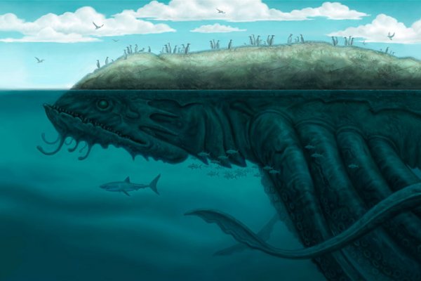 Vk kraken