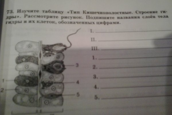 Кракен сайт 13at